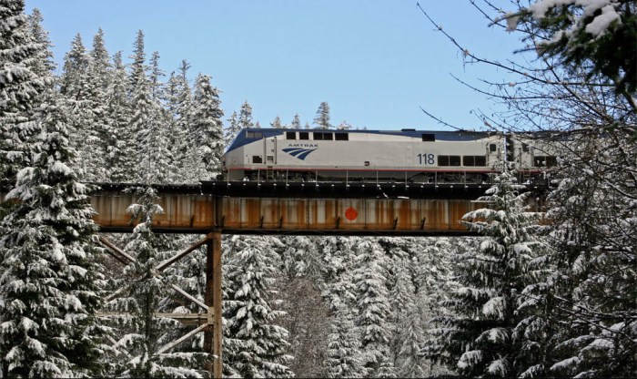 Coast Starlight Amtrak train on Salt Creek trestle