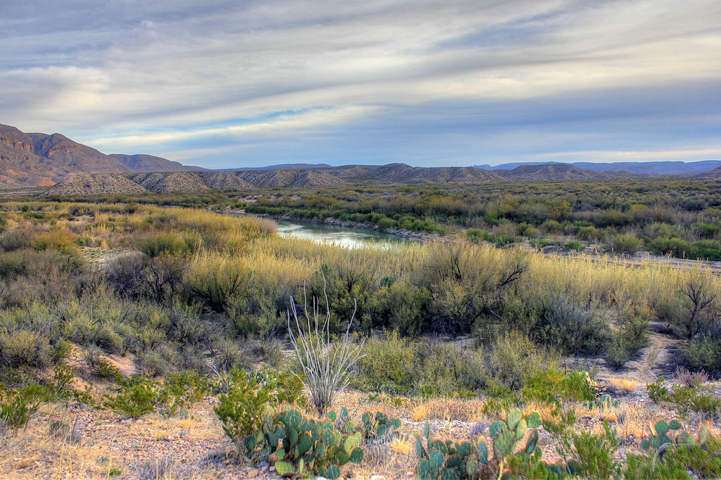 Texas