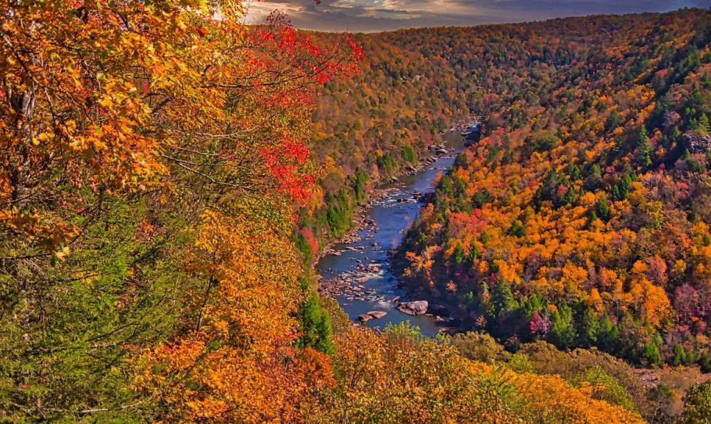 New River fall foliage