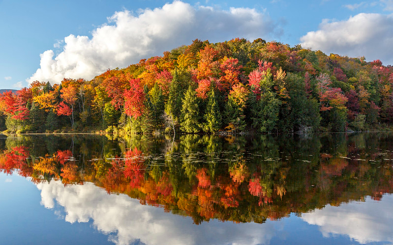 Vermont fall foliage