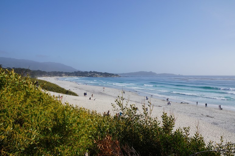 Monterey Bay beach
