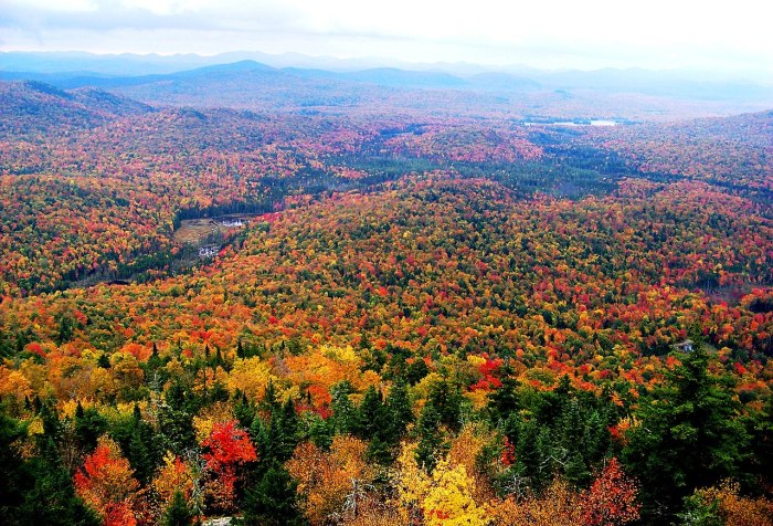 Fall in the Adirondack Mountains