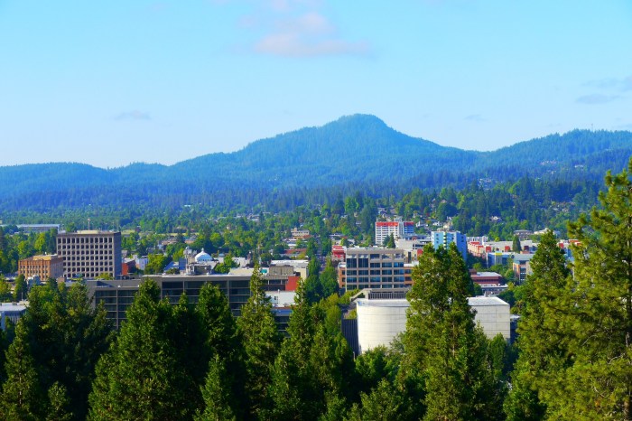 Eugene, Oregon skyline with mountains