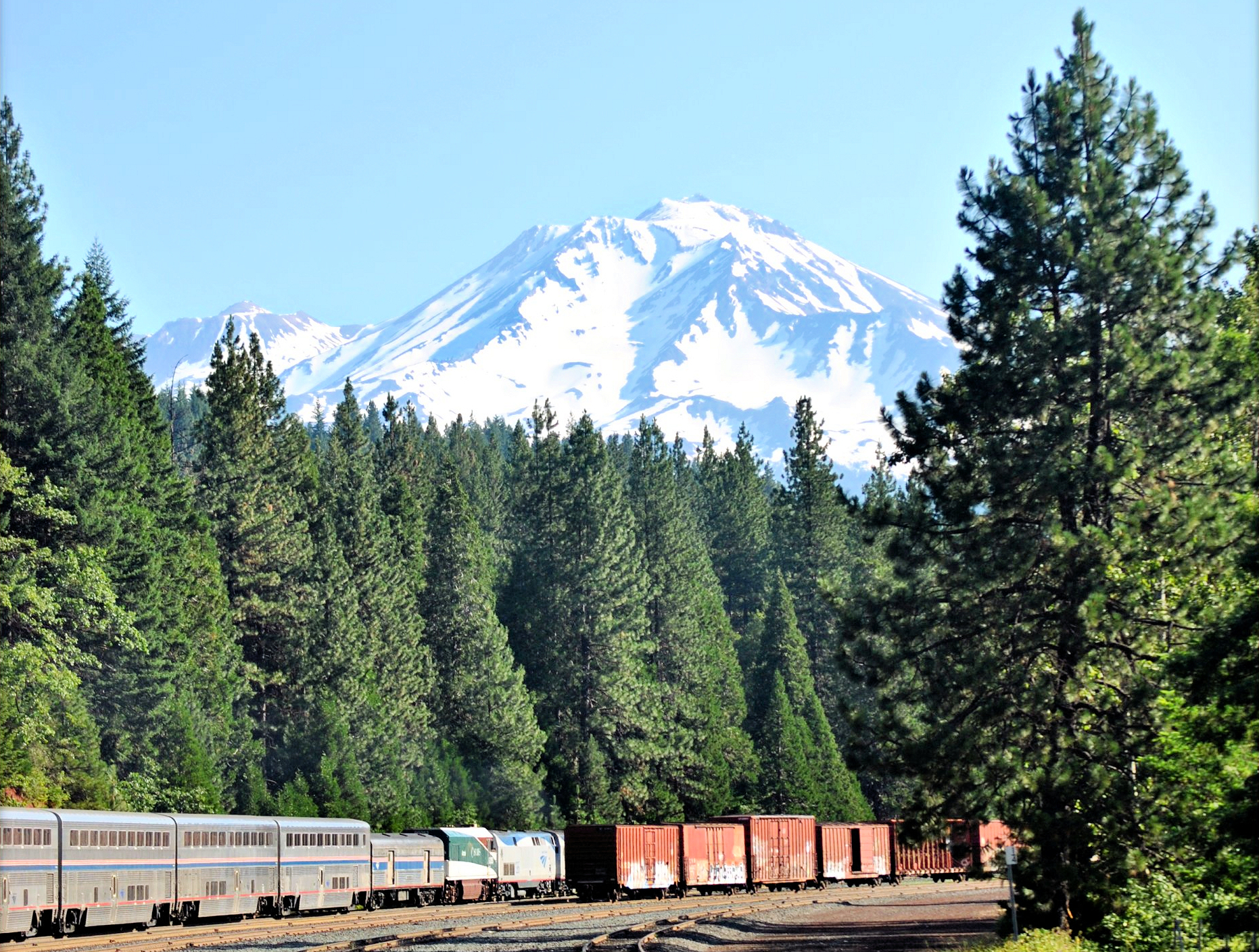 Coast Starlight with Mount Shasta