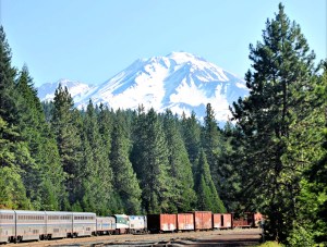 Coast Starlight with Mount Shasta