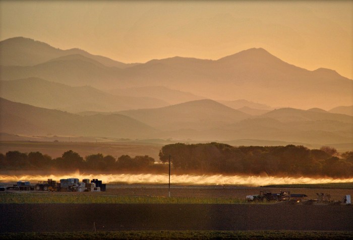 Coast Starlight train in Salinas Valley, California
