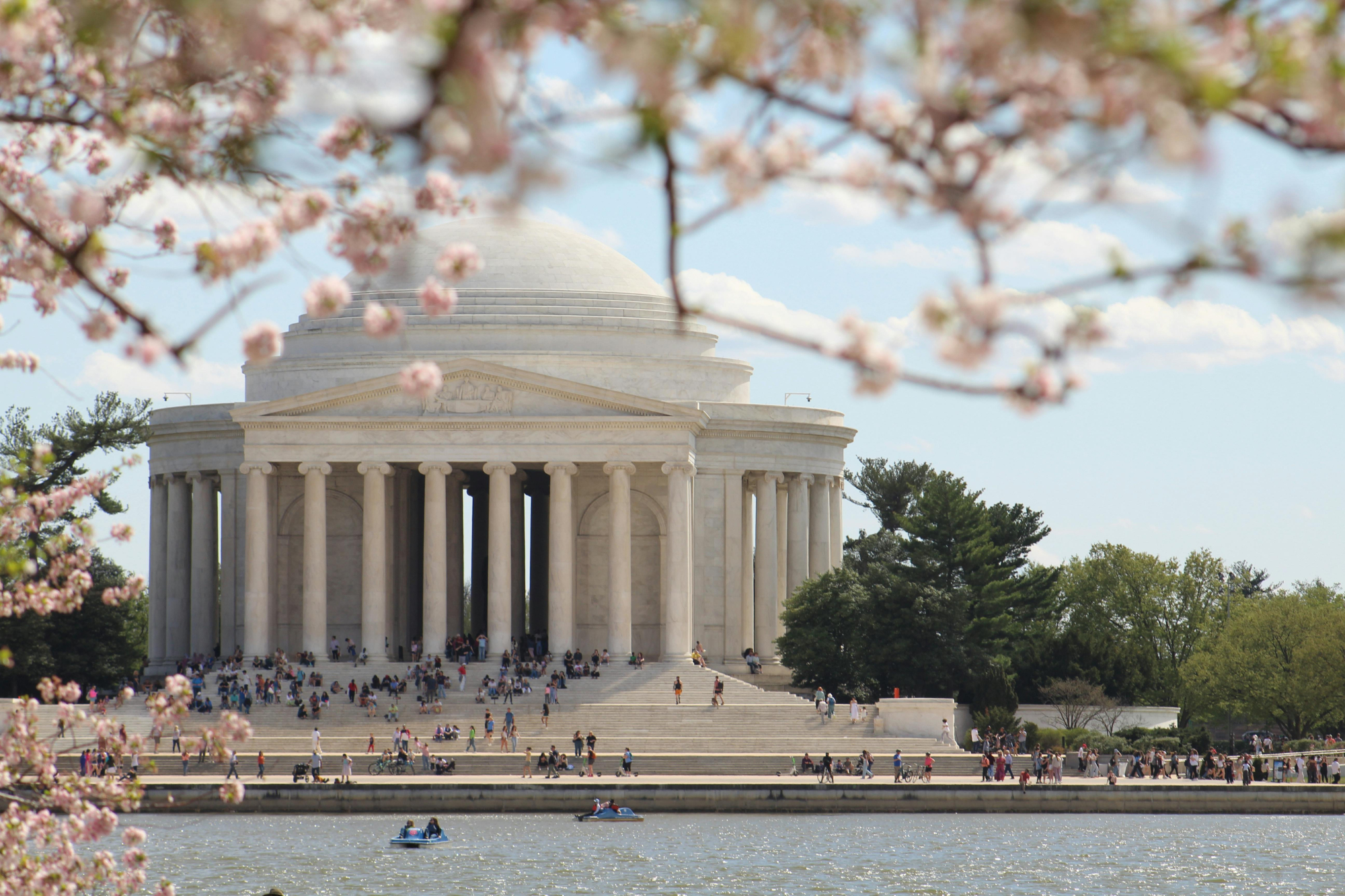 Jefferson Memorial in Washington D.C. with cherry blossoms