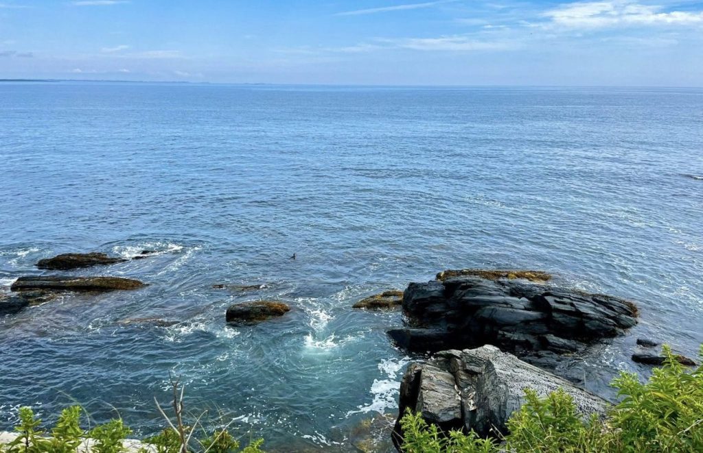 Newport, Rhode Island cliff walk view