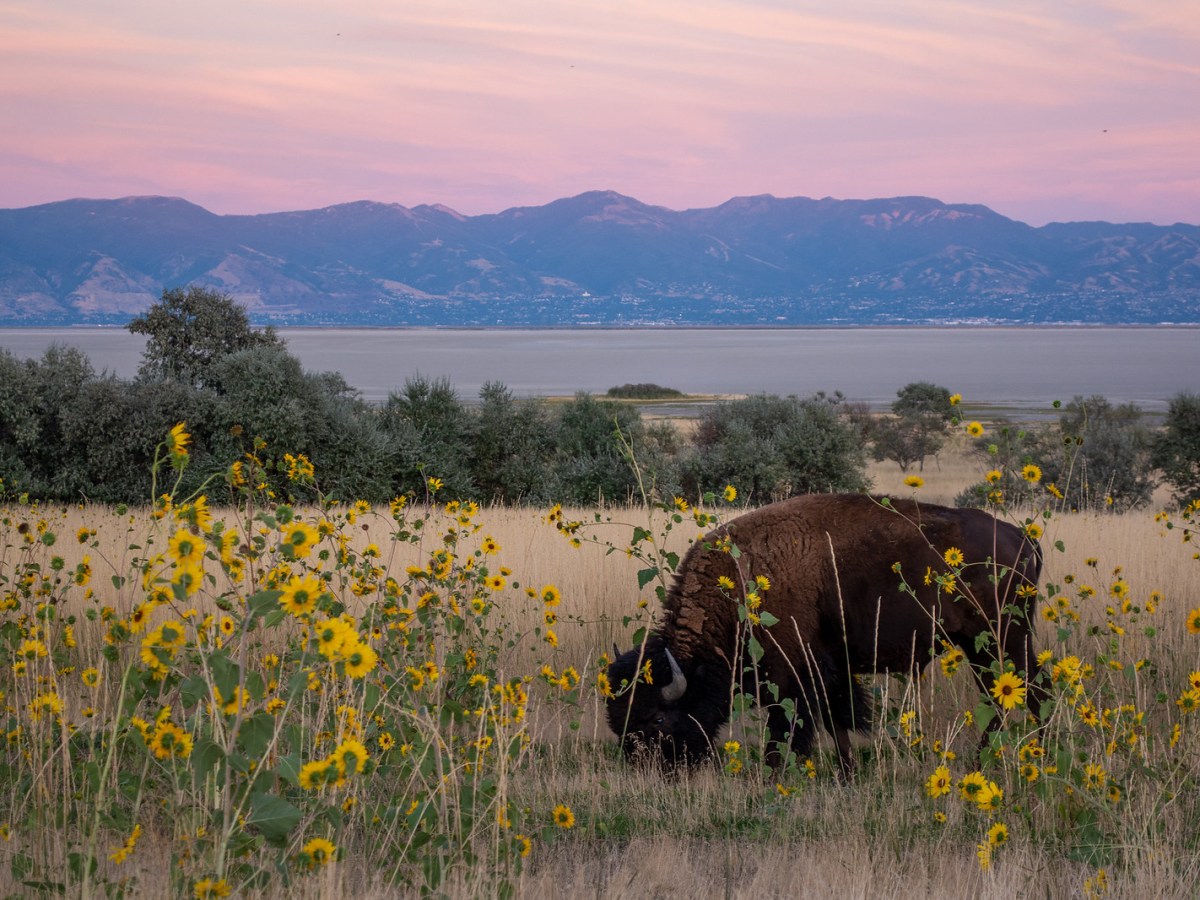 Best sightseeing tours along the California Zephyr&nbsp;route
